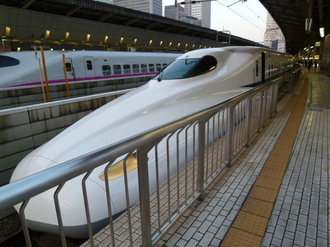 さて、あとはもう帰途につきます。<br /><br />東京駅にて、1時間ほど早い列車に変更してもらってから、残りのお土産と駅弁を急いで買ってまわり、新幹線に乗り込みました。<br /><br />ふう、疲れた。<br />