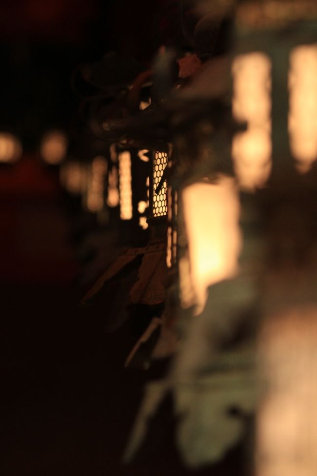 春日大社万燈籠<br /><br />周囲はかなり暗いので撮影の難易度が恐ろしく高いです。<br />なるべくなら上げたくないＩＳＯ感度を、どれだけ抑えられるかが腕のみせ所か。<br />