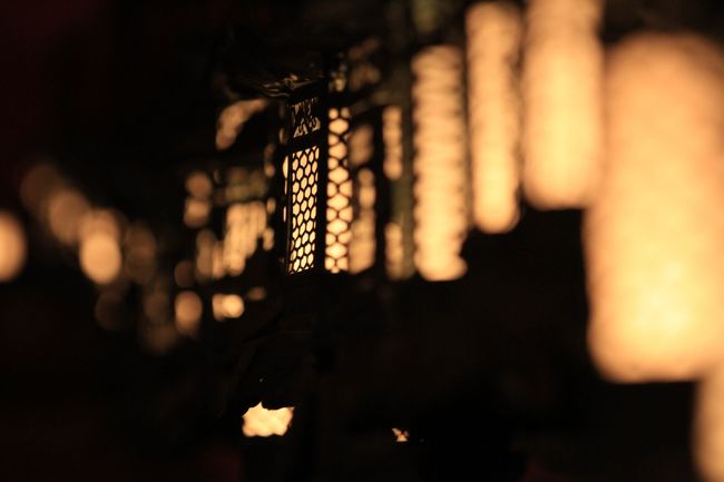 春日大社万燈籠<br />