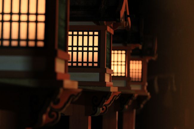 春日大社万燈籠<br /><br />この写真もお気に入りです。<br />春日大社らしい写真ですが、燈籠が映っていないので、トップ写真候補からハズレました。<br />