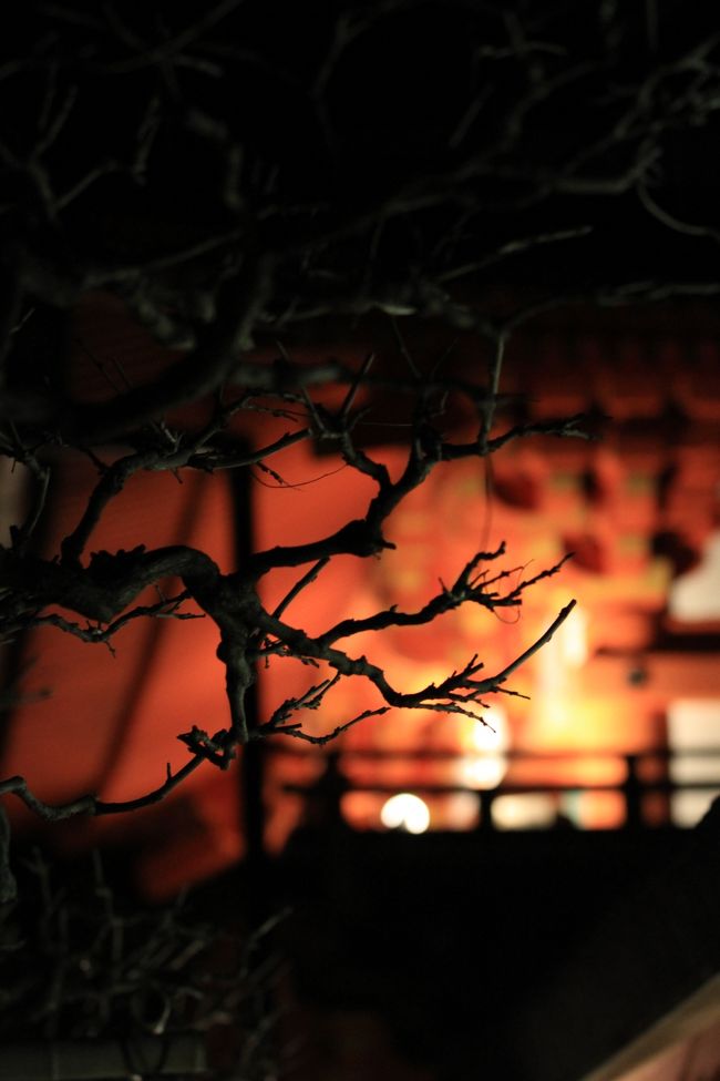 春日大社万燈籠<br />