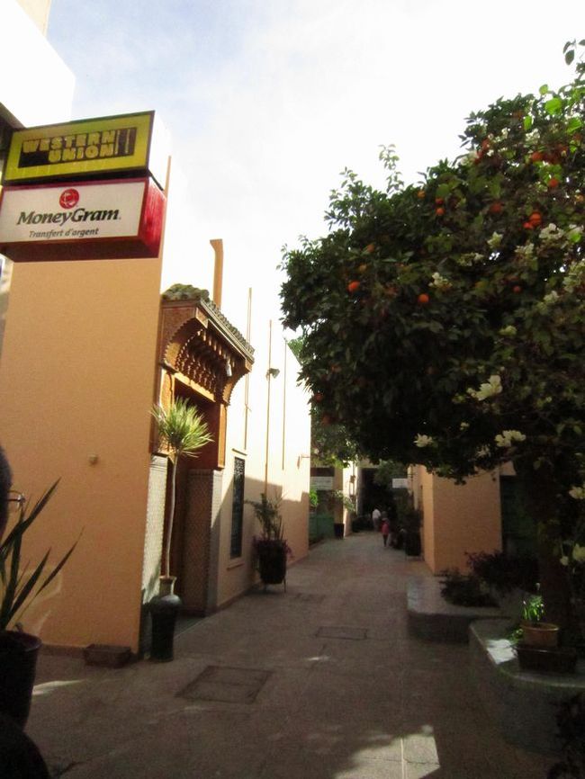 伝統工芸館の中にはオレンジの木がたくさん。<br />子供たちがこのオレンジをサッカーボール代わりにして蹴っていた。<br /><br />私はここでアルガンオイルを購入。