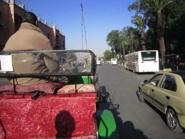 さて翌日は馬車にチャレンジ。<br />やっぱり値段を吹っかけてくるので値切って相場くらいに持って行ったのは良かったけど、回ってくれたところが市内じゃなくて人があまり通らない郊外だった！せっかくの旅でイライラするのも嫌なんで気分を切り替える。