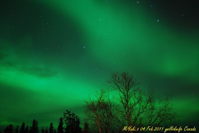 ２日目　だんだん色濃い！