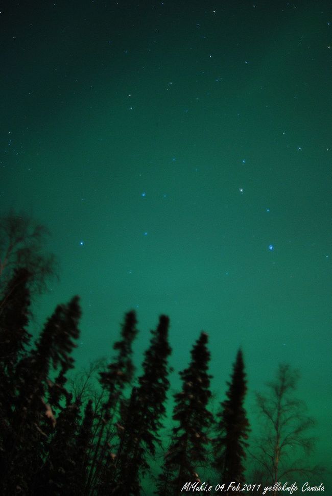 ２日目　縦で！森の中にて