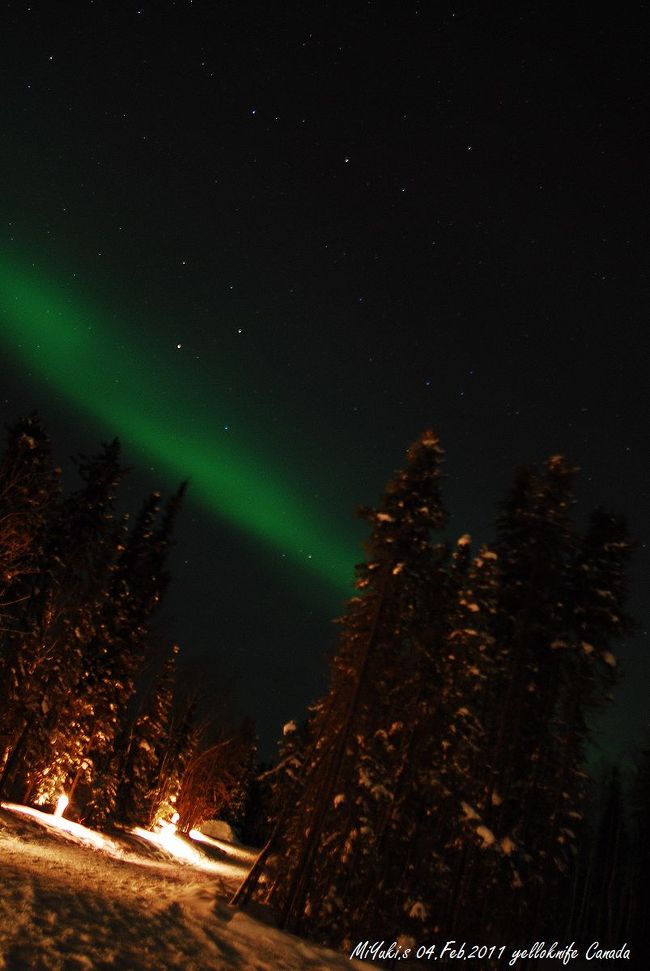 ２日目　ほれぼれしてます。自己満です！