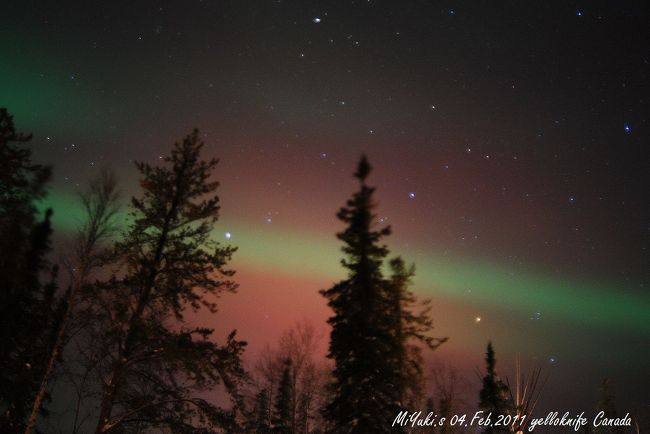 ２日目　肉眼ではあまりこの時は色の見分けはついてません。撮影が終わりプレビューしてみるとこなっててびっくり！