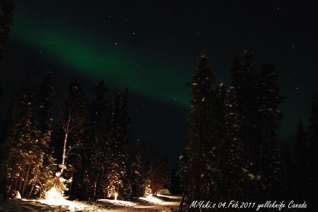 ２日目　森の中キレイすぎる！森から移動できず結局２時間位ここで撮影！