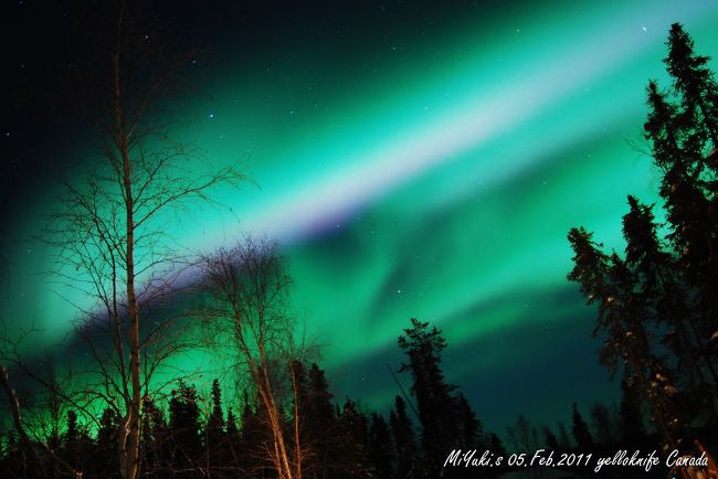 ３日目　色つきです！すごい神秘的