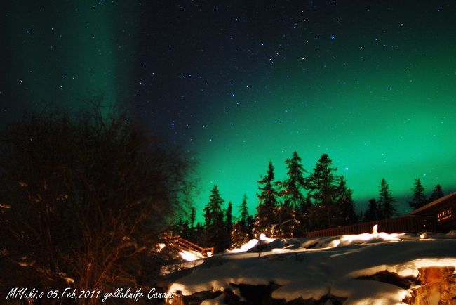 ３日目　やはり森と共にがいいね〜