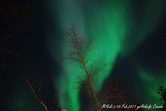 ３日目　滝登りオーロラ