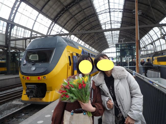 キューケンホフでいただいたチューリップです。<br />これからアムステルダム向かいまーす。