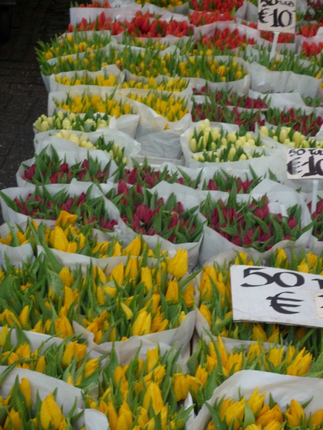 アムスの街中の花市で売ってました、チューリップです。<br />とても安い！！！笑