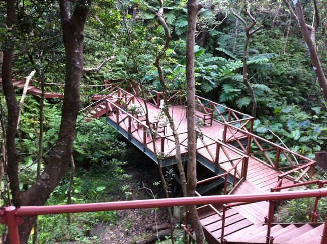 おはようございます。本当に早いもので残りあと２日。アッタさんでは希望者には朝ヨガのカルチャープログラムを無料で受けられます。<br />というわけで頑張って早起きして、眠い目をこすりながら森の中を抜けて東屋（？）と呼ばれる建物へ。同年齢層のカップルが他に３組ほどいましたが、私の奥様は調子悪く私１人での参加でした。