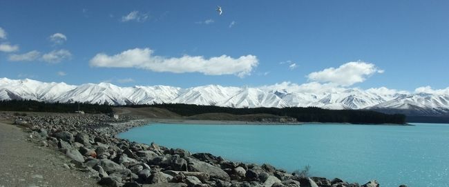 プカキ湖からのサザンアルプス<br />美しいです