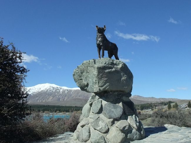 ハウンダリー犬の像<br />開拓時代の牧草地で柵の無い境界線を守る犬たちの働きを称えて１９６８年に造られました。<br /><br />１３：４０　クライストチャーチへ向けて出発。約２３０ｋｍ。