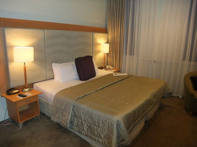 今日はシングル。<br />同じグループなので内装は似ていました。<br /><br />中々片付かず、寝たのは１時過ぎでした。<br />