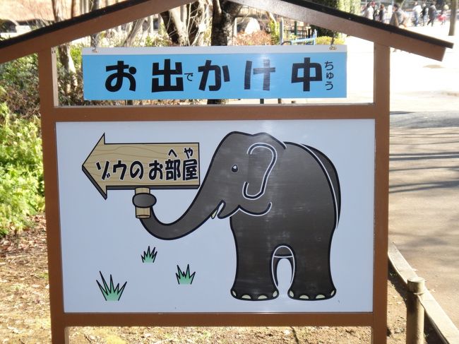 草食ゾーンの本命「象」がお出かけ中！？