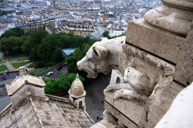 ちゃんとこちらにもいます。