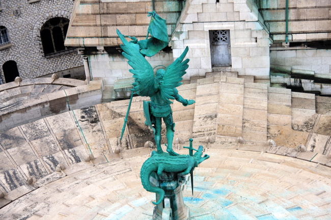 足もとの動物は鰐のようです