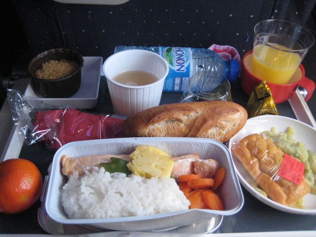 エールフランスの晩ごはん<br />デザートうまし<br />鮭もおいしかったです