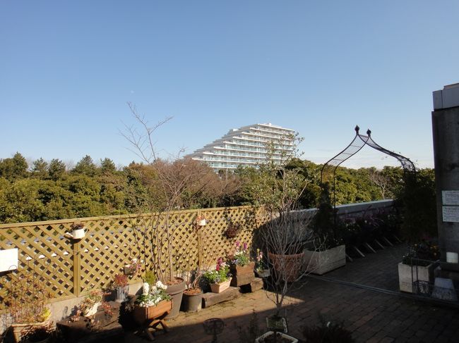 外にも出ると…。