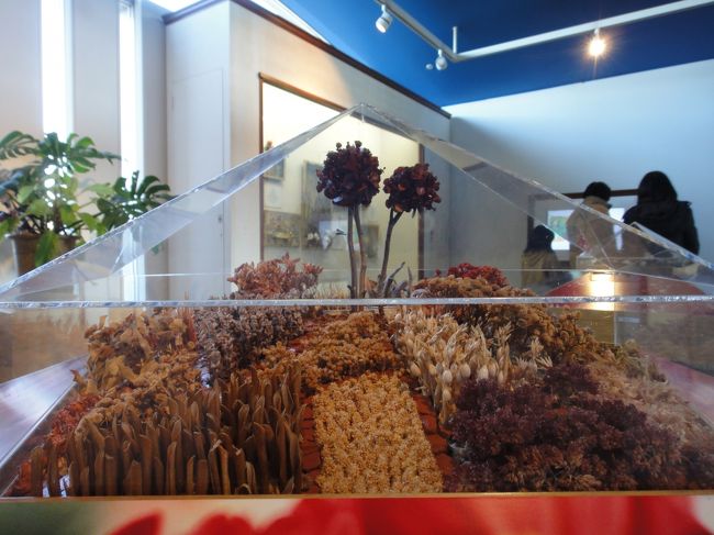 花や植物をモチーフにしたアート作品を見る事が出来ます。