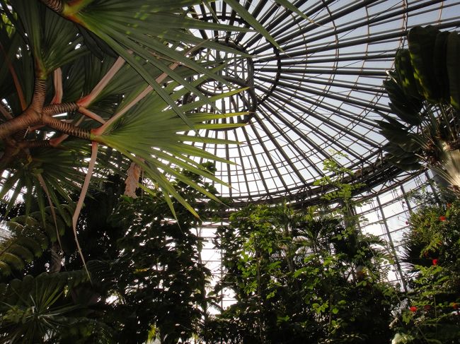 続いては温室へ。<br />冬の２月でしたが、温室のため蒸し暑いです。