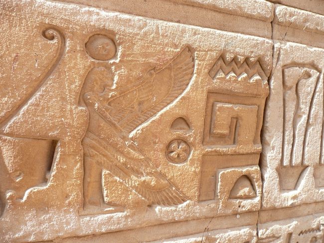 全部、撮り尽くしたいけど。無理だった；<br />メモリーたんない。