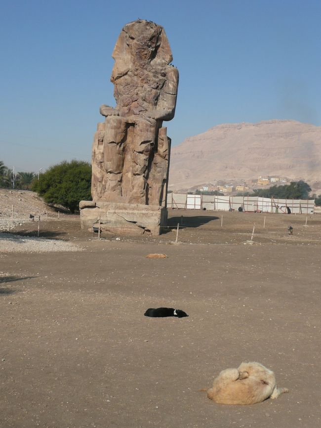 ルクソール西岸観光へ。<br /><br />メムノンの巨像。<br />ほとんどボロボロでございます。<br />崩れちゃわないのかな？<br /><br />それよりもワンコが気になって、気になって。<br /><br />まるでオセロのような並び。<br />真ん中のワンコがひっくり返されてしまいそうで〜ｗｗ