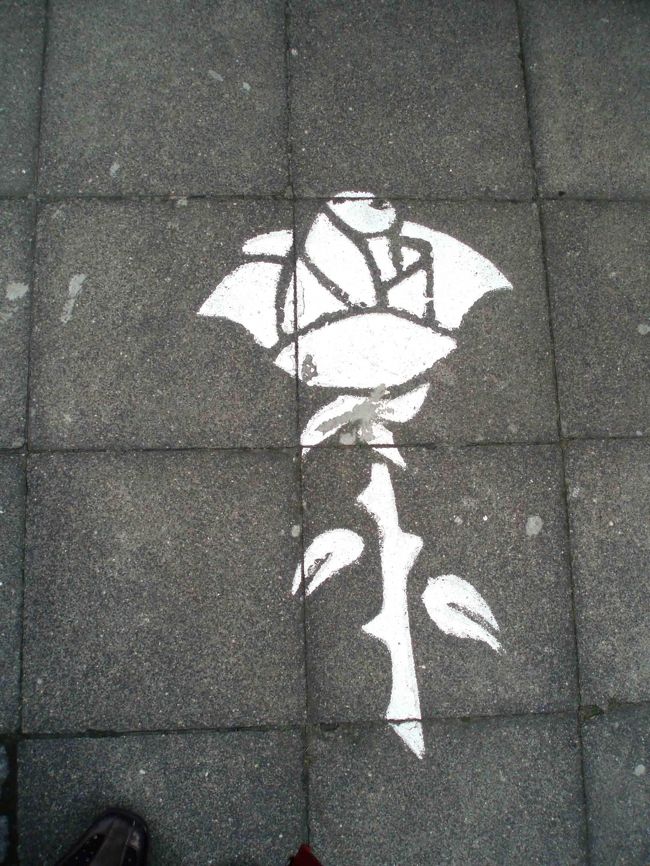 これから、聖ミヒャエル聖堂と並んで世界遺産に登録されている聖マリア大聖堂に徒歩で移動します。<br /><br />ハーメルンは道路に描かれたネズミが案内役でしたが、ここはバラの花を辿っていけば大聖堂に行き着くことができるようです。<br /><br />何故バラなのか？は後で出てまいります。<br />