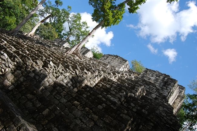 メキシコ 手つかずのカラクルム遺跡へ ジャングルに埋もれた世界遺産 その他の観光地 メキシコ の旅行記 ブログ By Creusさん フォートラベル