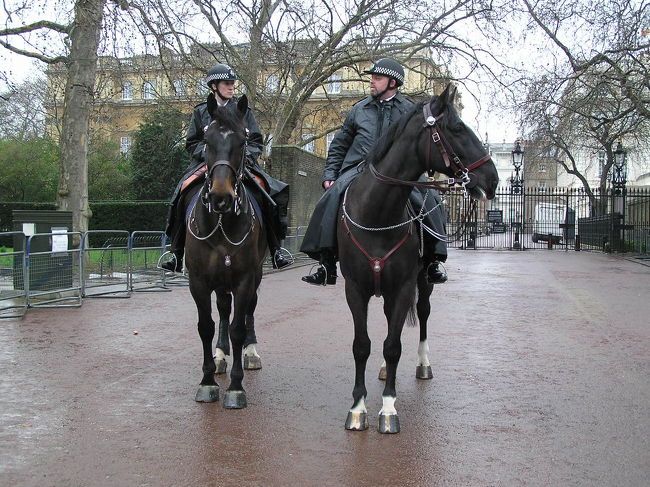 馬に乗った警官まで