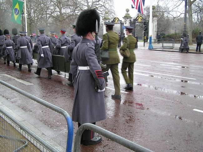 うまく撮れなかった（´ω｀）