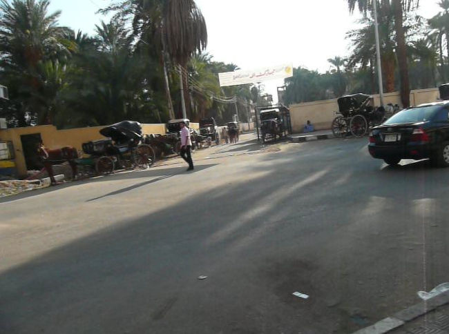 それでも、なんとか母上を宥めすかして、近所の散策だけでも。<br /><br />ロビーで同じツアーの夫婦さんと、バッタリ。<br />ご一緒することにしました。<br />ホテルの敷地内から出ようとしたが、ゲートの前で足が止まる。<br />タクシーと馬車がズラリなんですよ。<br />みんなこっち見てるし；<br />うぅぅぅ、怖いけど、勇気を出して一歩踏みだし。<br /><br />「ワンダラ〜、ワンダラ〜」のシャワーを潜りながら、街へ。<br />思うんだけど「ワンダラ」とか、逆効果だと思うのよね。<br />１＄なわけないんだから、適正価格を言ってくれたら、こっちも気軽に乗れるのに……。<br />旅行者なんだから、多少高いくらい気にしないよ。<br />でも、怖い目に遭うのも、アホみたいにボッタくられるのもイヤです。