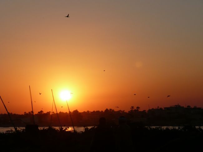 博物館前で、ギリギリ撮れました！！<br /><br />ちょっとしかナイル川が入らないけど、撮れたから満足です！！<br /><br />こういう時がツアーの辛いところですね；<br /><br />博物館は、夜なのに結構人が多め。<br />本物のミイラが見れました。