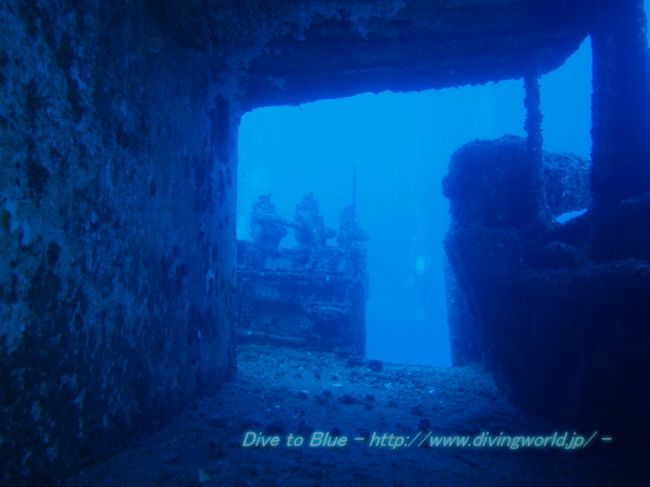 ダイビングおまとめ ハワイのオアフ島シャークスコーブでファンダイブ ～ZX DIVING～