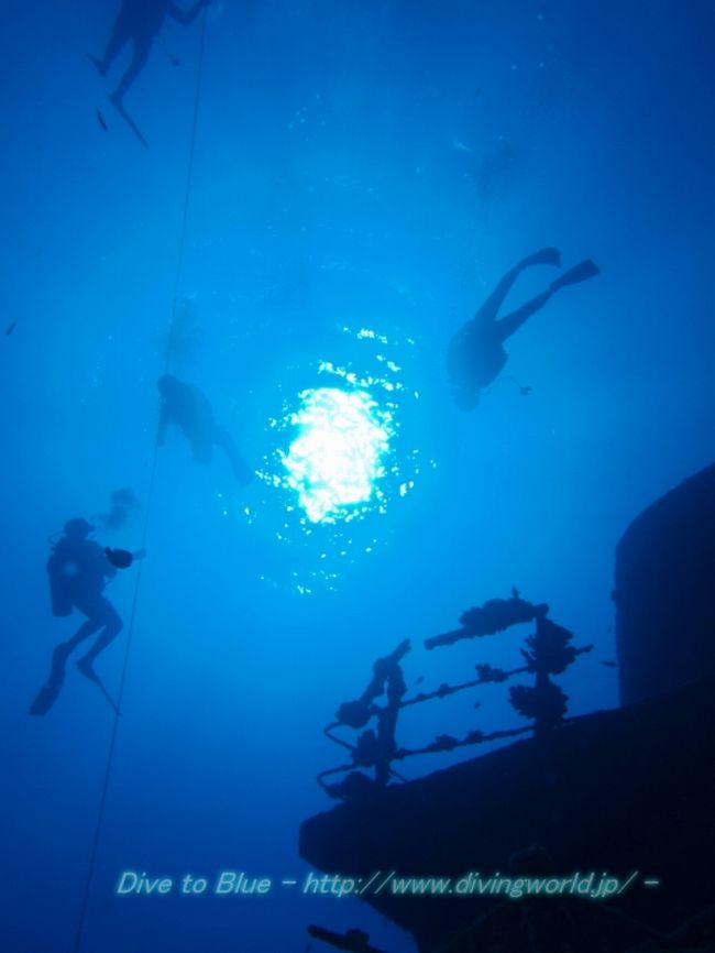 ハワイ ZXDIVINGでダイビング』オアフ島(ハワイ)の旅行記 ハワイ ZXDIVINGでダイビング』オアフ島(ハワイ)の旅行記