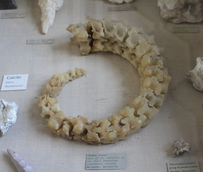 スネークストーンだそうです。なんでこんな形になったんだろうね