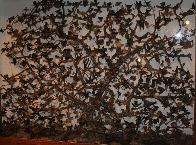 よく見ると全部鳥です。