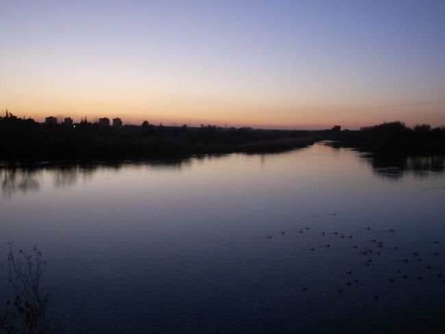 ライン川かな。