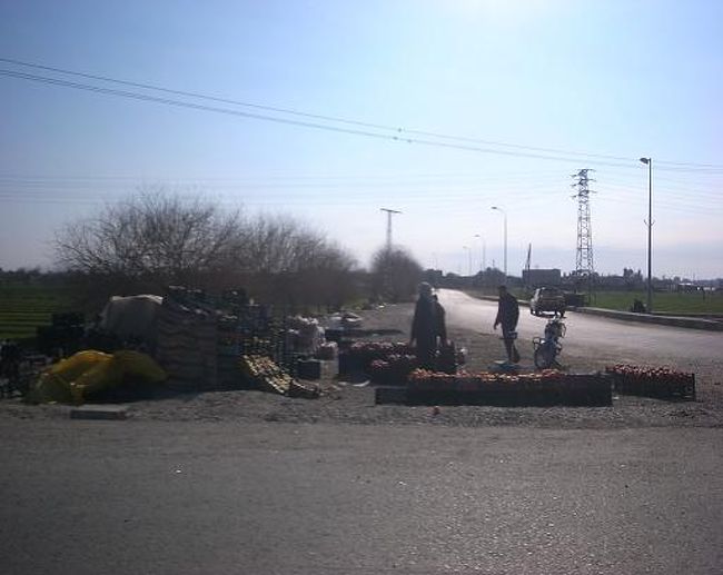 幹線道路わきの路上マーケットではいろんなものが売られている。<br /><br />田舎に行くとカゴに入ったままの鶏が売られている。<br />一羽買って帰ってさばくのね。。<br />