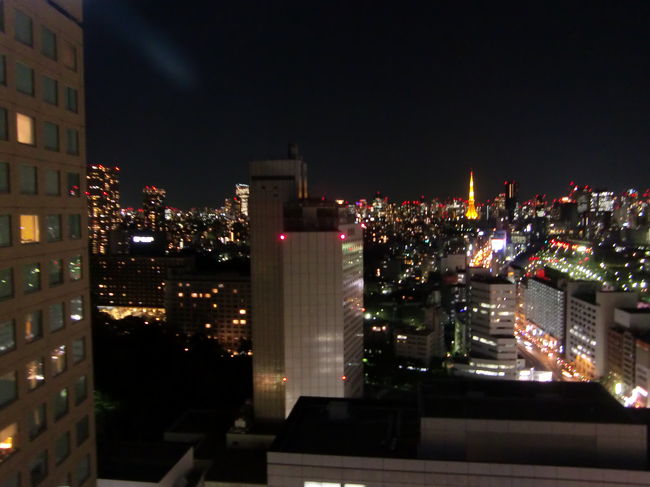 カーテンを開けてみると…。<br /><br /><br />素晴らしい夜景が広がります。