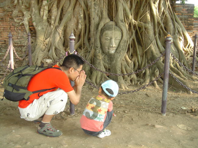 お祈りしてバンコクに戻りました。<br /><br />タクの運ちゃんがここの場所を知らず、最後に行ってくれと言っていたにもかかわらずバンコクに帰ろうといていたので、坊ちゃんが地球の歩き方の木に埋め込まれた仏の頭の写真を指差して運ちゃんに<br /><br />『ここ！ここ！』<br /><br />おっちゃん仕方なく引き返すも場所が分からず通りがかりの売店で写真を見せてなんとか到着<br /><br />