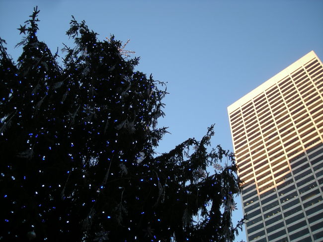 いい天気でした！