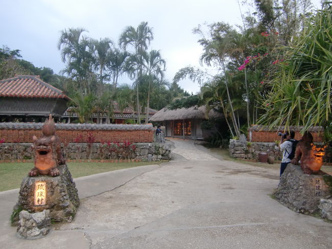 琉球村は沖縄の文化・芸能・自然を見て体感できるテーマパーク。<br /><br />今回のツアーでの唯一の観光らしい観光です。