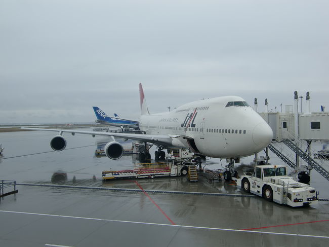 最後のフライトを待つJA8084