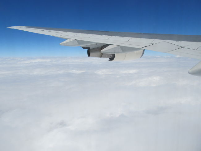 飛行機は涙雨の那覇空港･滑走路36から12:12に東京･羽田に向けてJA8084の有償飛行最後のTakeOff!<br />もうJA8084は2度と那覇に来ることはないかもしれません、<br />JA8084にとって那覇は通い慣れた空港だったことでしょう、<br />今まで何回那覇空港の滑走路から飛びたったことでしょうか、<br />ワタクシもこのフライト以前にJA8084に乗って那覇空港を飛び立ったことがあります。<br />乗客それぞれの様々な思い出を乗せてジャンボは飛び立ちました。