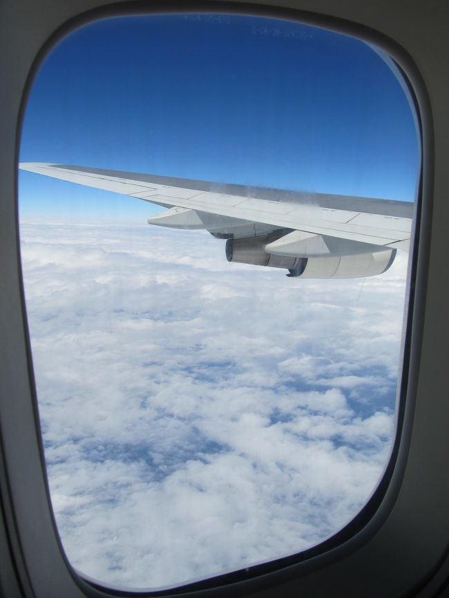 上の画像付近の自席から機窓の眺め