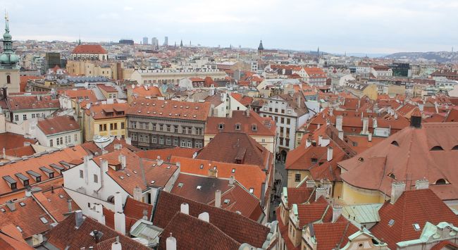 これ見たかったんだな〜<br />やっぱりキレイだ一面オレンジの屋根